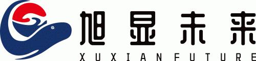 XUXIAN FUTURE