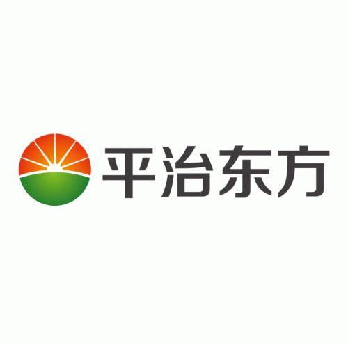 平治东方